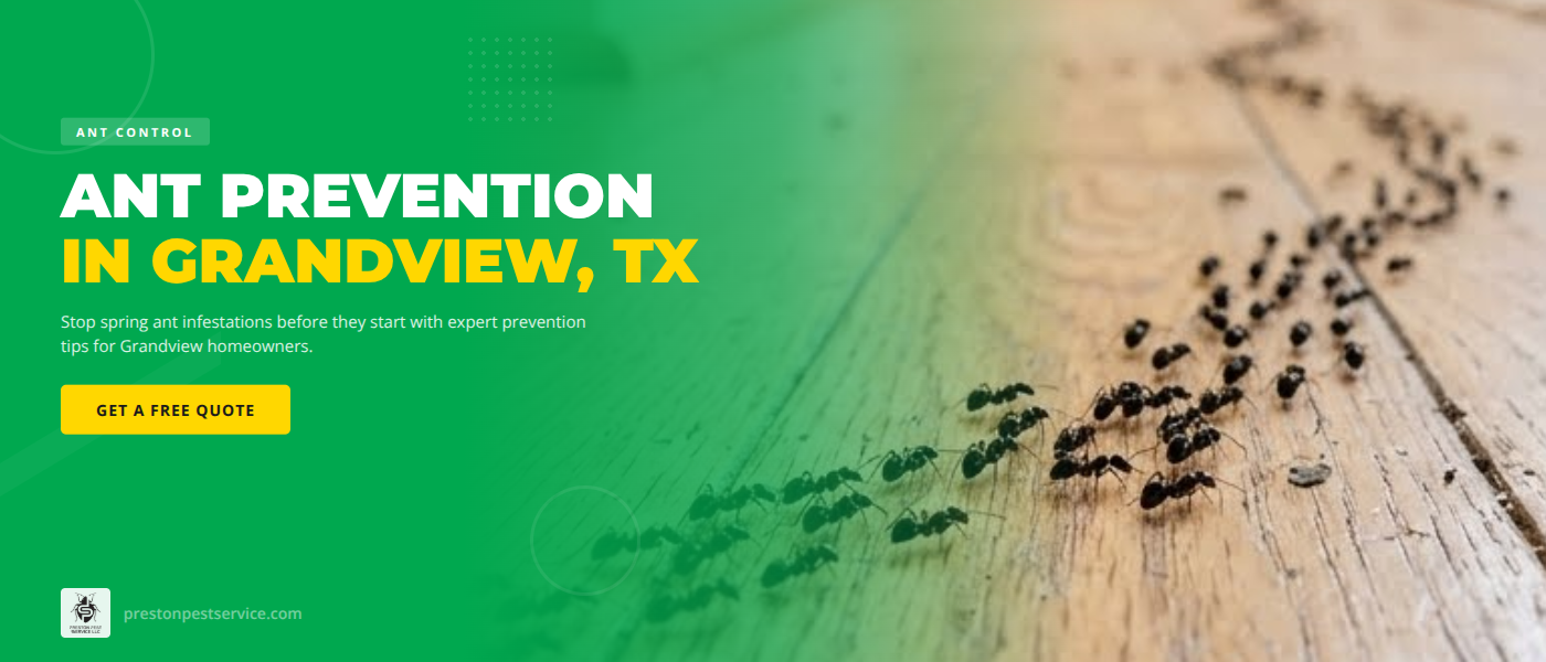 Ant Prevention in Grandview, TX - Stop Infestations Before Spring
