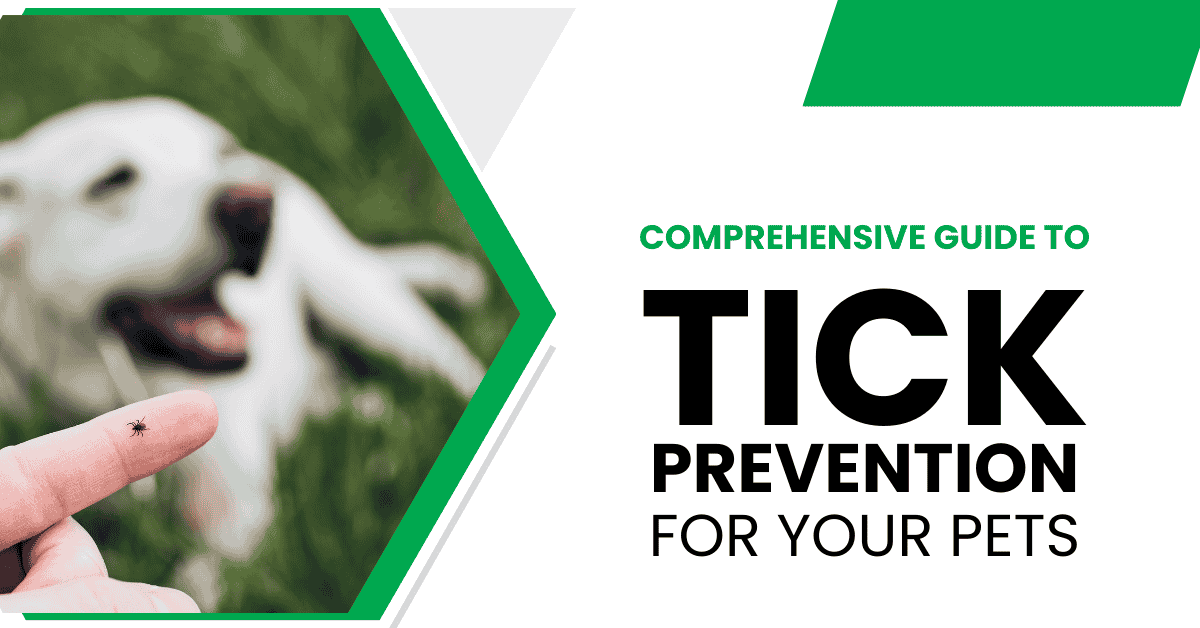 Comprehensive Tick Prevention Tips for Pets and Families