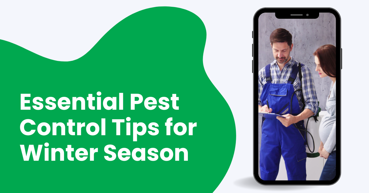 Essential Pest Control Tips for Winter Season