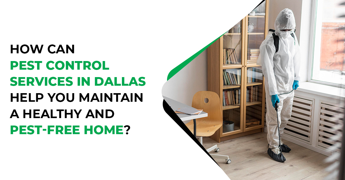 Reliable Pest Solutions for Dallas Homes | Preston Pest Service