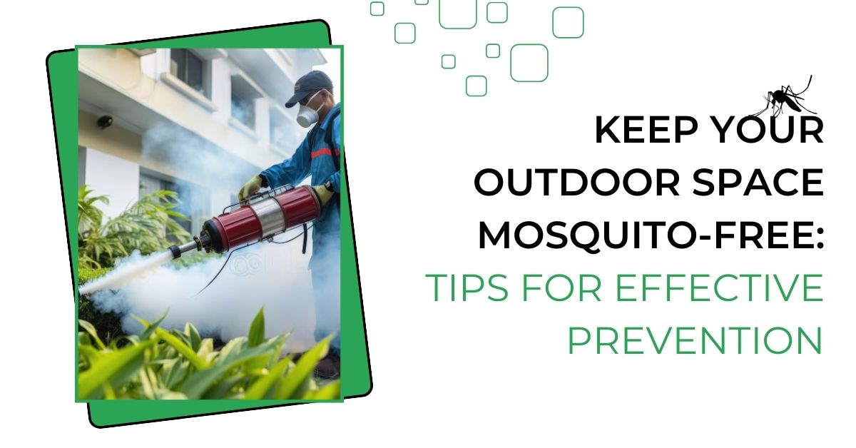 Best Mosquito Control Services Near You | Pest-Free Living
