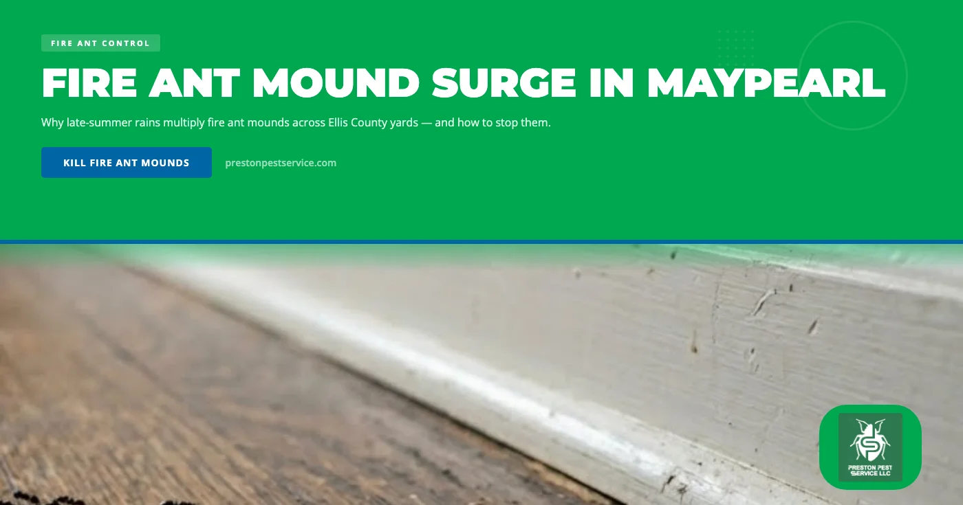 Fire Ant Mound Surge in Maypearl, TX: Late-Summer Rain Triggers