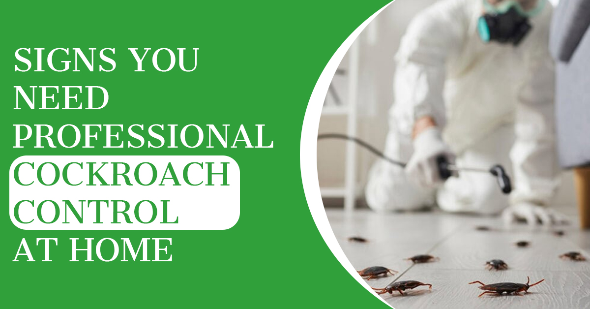 Why You Need a Cockroach Exterminator ASAP
