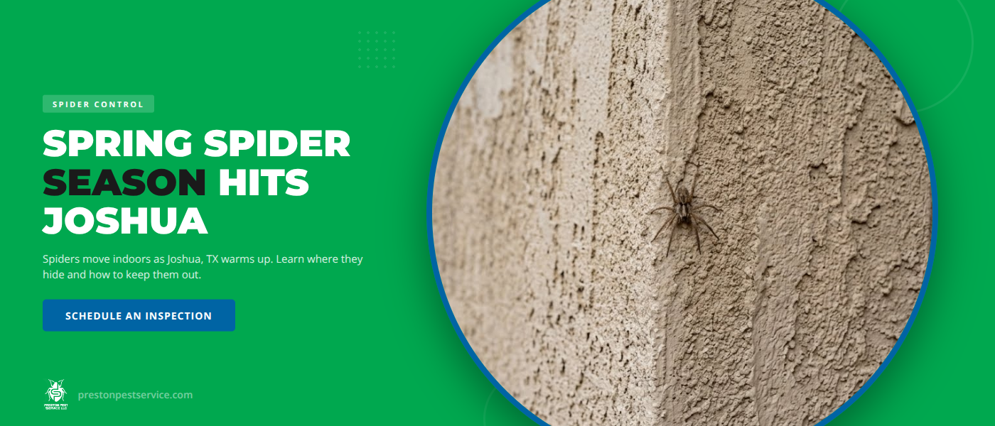 Spring Spider Season in Joshua, TX | Preston Pest Service