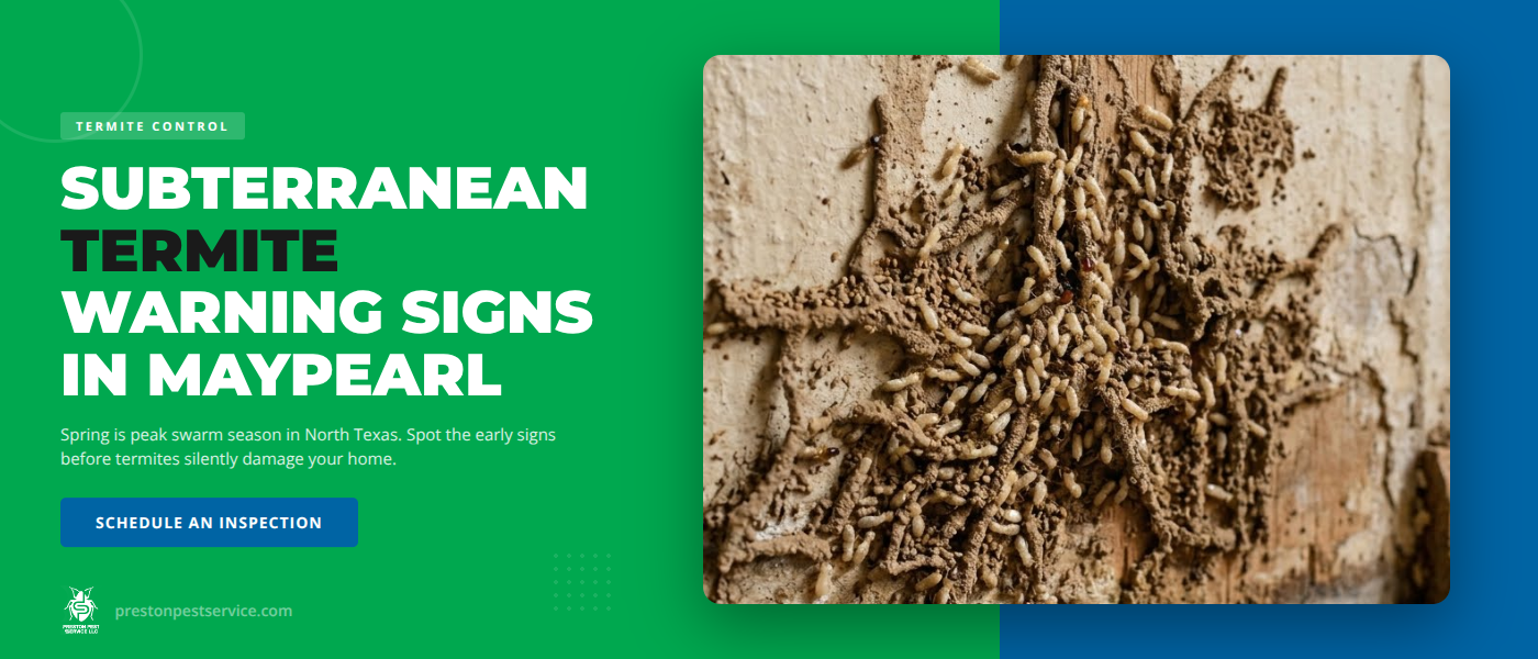 Subterranean Termites in Maypearl, TX: Spring Warning Signs Every Homeowner Should Know