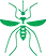 Illustration of a green mosquito with outstretched wings